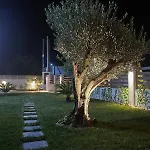Albatros Luxury Vrasná